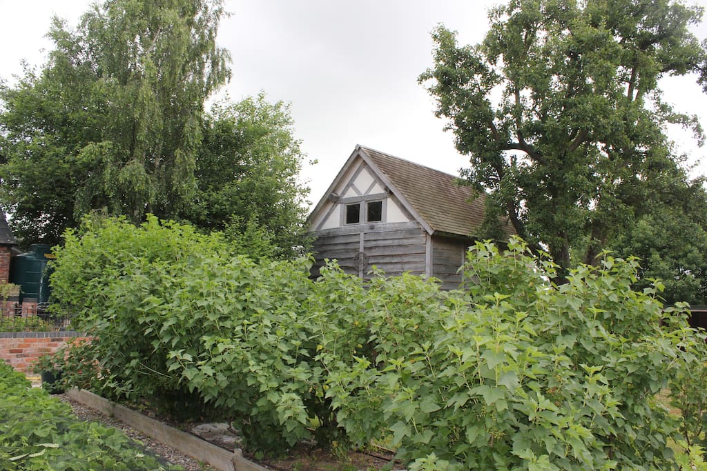 Oak horticultural barn