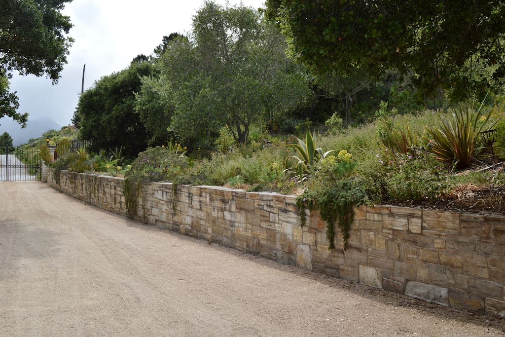 Driveway