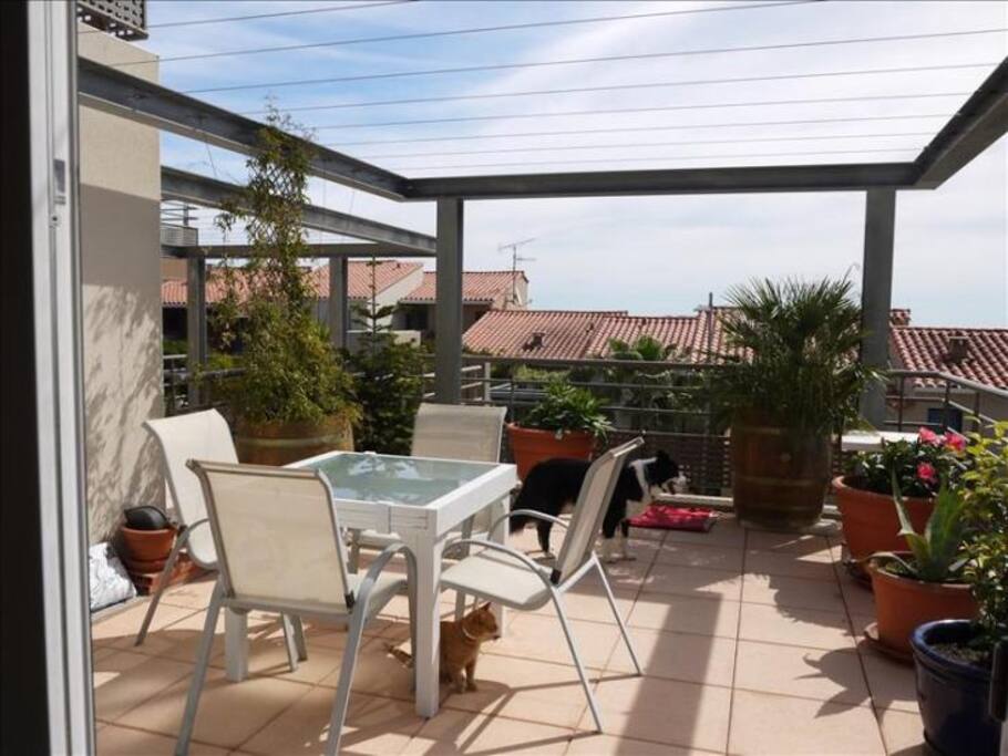 Terrasse du bas 25 m2 ouvrant sur séjour