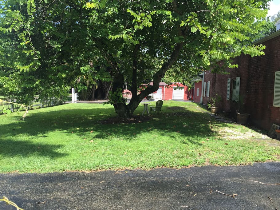 southside of barn