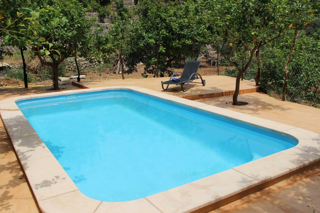 piscina entre los limoneros
