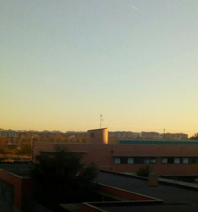 views east - vistas este