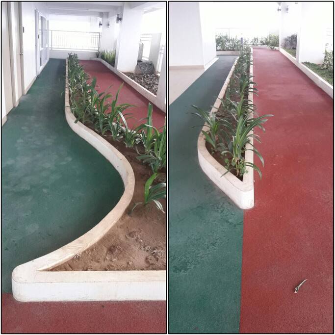 Jogging Path