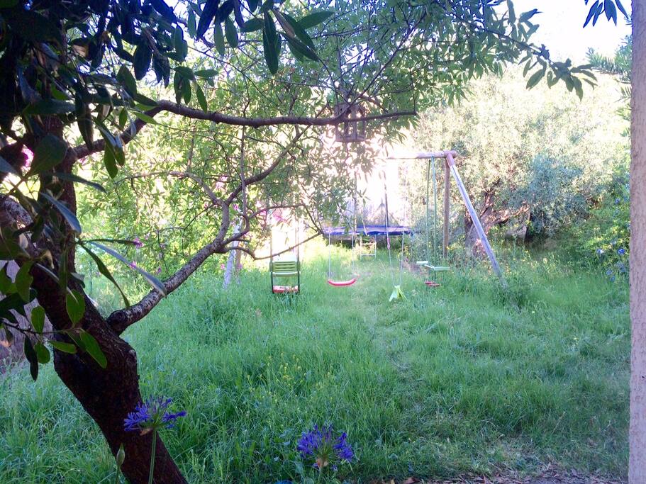 Jardin