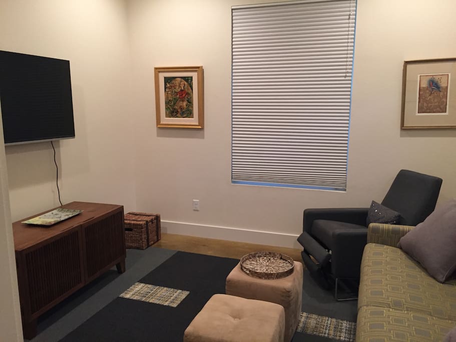 TV room with queen fold out couch