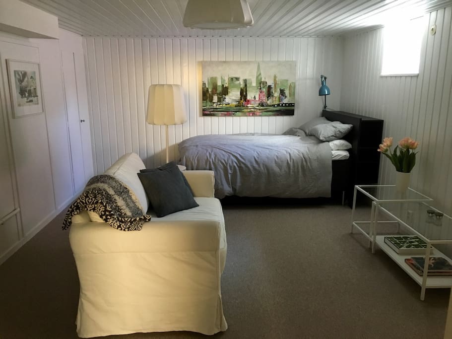 Bedroom/livingroom, with bed and bedsofa, 2 closits.