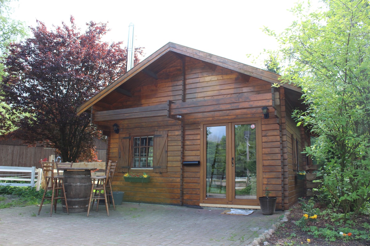 A charming wooden lodge is set amidst greenery, showcasing an inviting exterior with large glass doors. A rustic table and chairs are arranged on the patio, complemented by potted plants. The natural wood finish and surrounding trees create a peaceful, serene atmosphere.