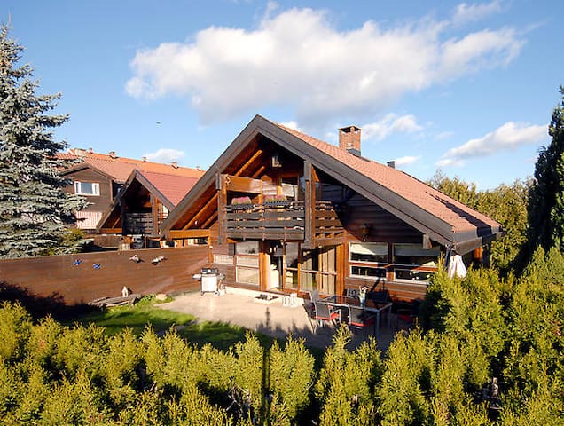 Charming, central, and big garden