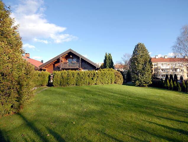 Charming, central, and big garden gallery image 2