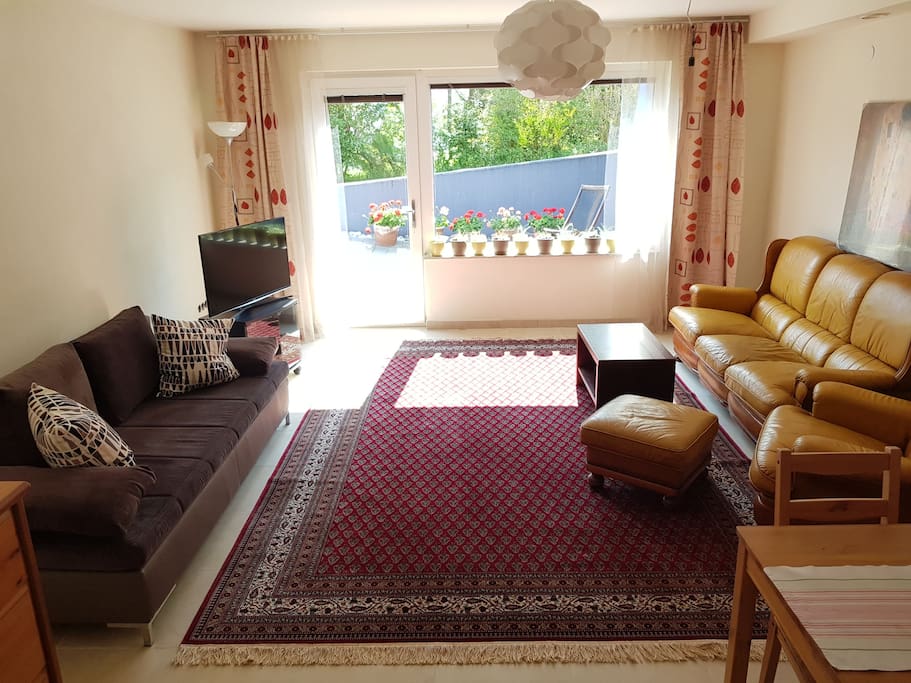 On the left hand side, the dark brown bed sofa, where 2 persons can sleep
