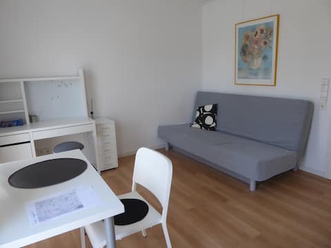 Top Airbnb: 1-room apartment, furnished, kitchen, bathroom, bright with south balcony in Offenburg