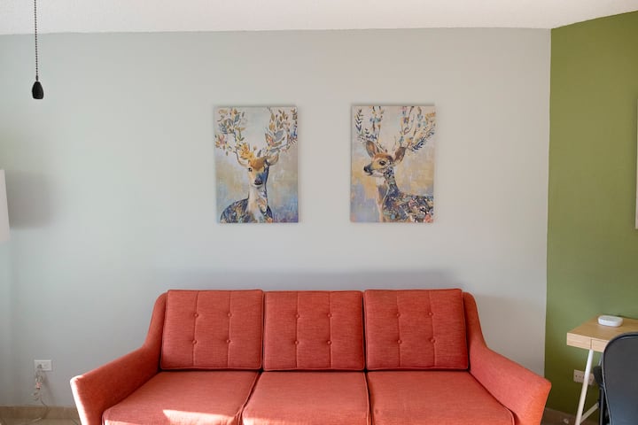 Spacious 1 Bd Apartment@the Heart Of The City - Tijuana
