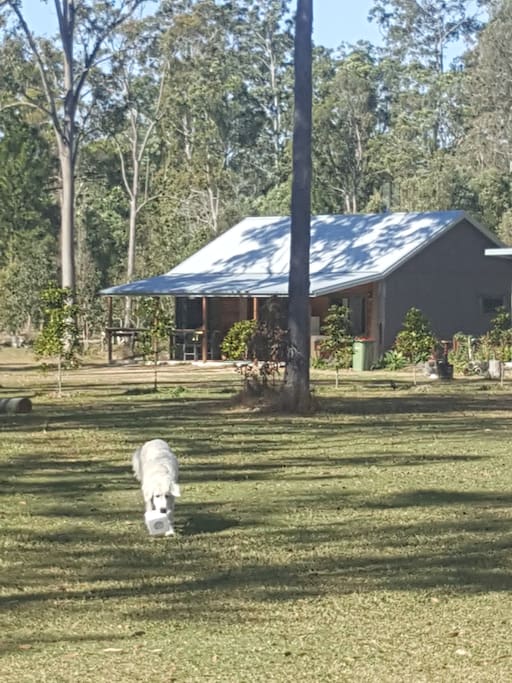 Peaceful and private