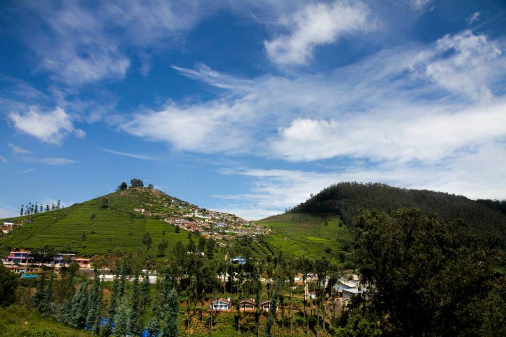 YAHVI..WHERE HEAVEN MEETS EARTH