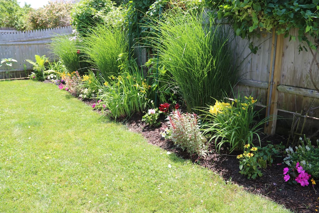 Lush Garden