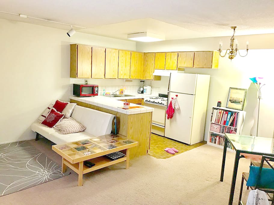 Full kitchen & living room with a sofa bed.