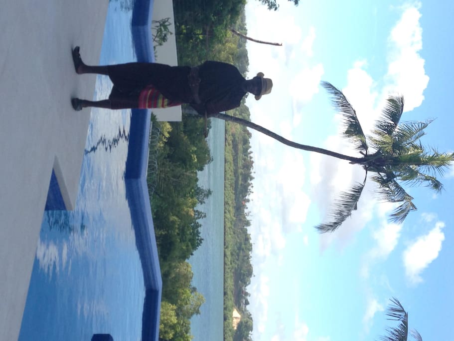Infinity swimming pool overlooking mangroves