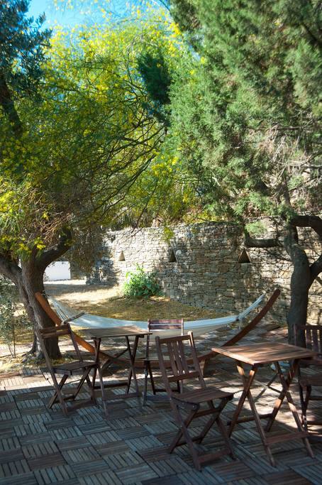 The garden