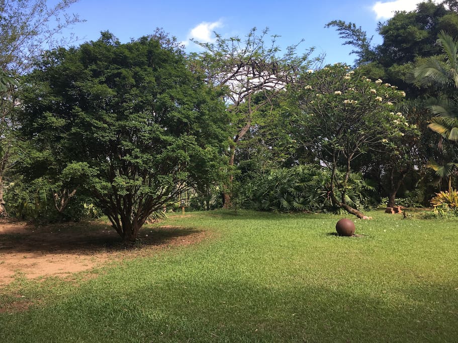 Jardim com árvores frutíferas e animais silvestres