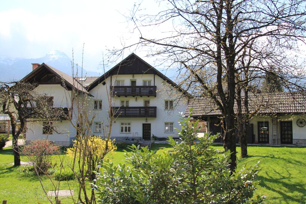 house from the garden, room is on the 1st floor, n the middle (balcony)