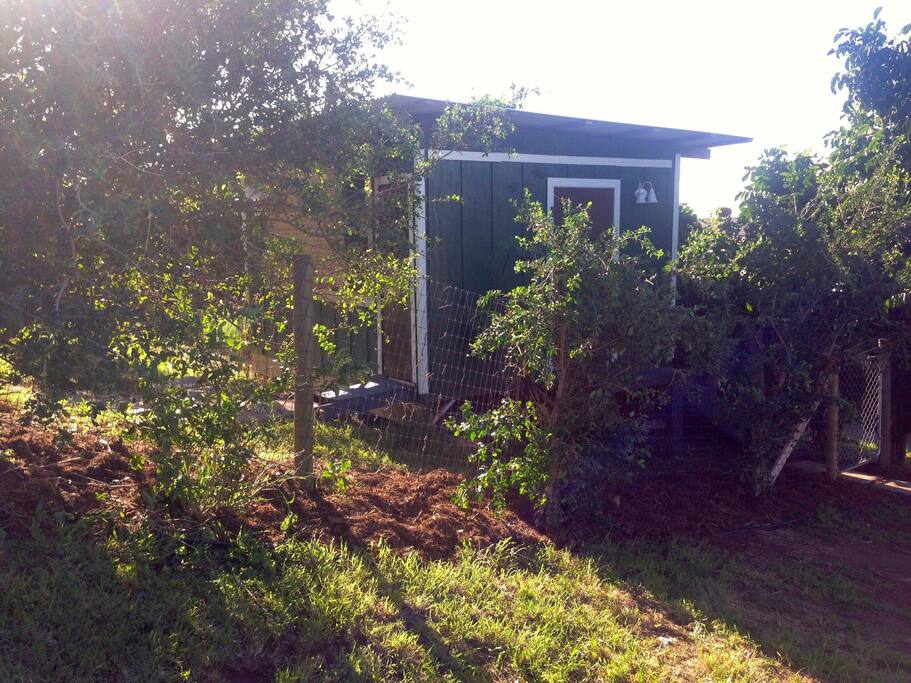 Front of tiny home