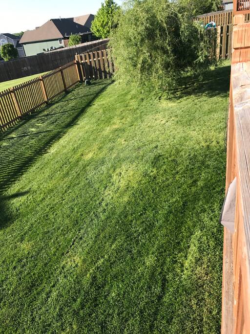Portion of back yard