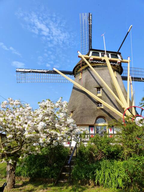 Windmill close to Amsterdam!!