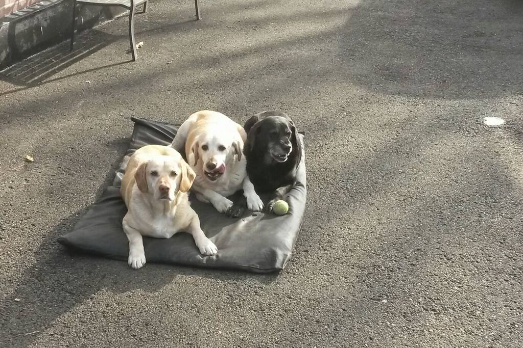 Three musketeers!