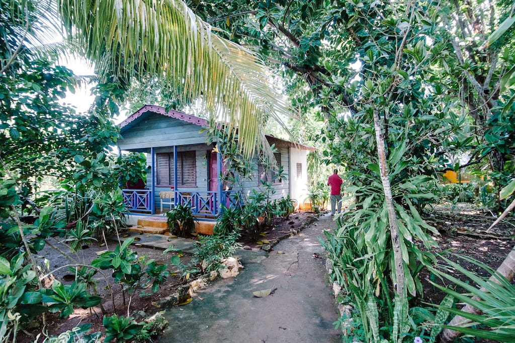 Banana's GardenCoconut Cottage Bed & Breakfasts for Rent in Negril