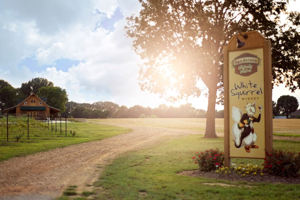 Winery entrance and drive to tasting room, pavilion and suite