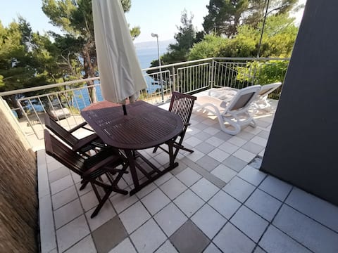 Villa Golubinka Pisak