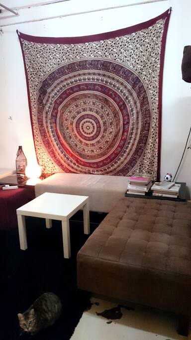 cozy zone