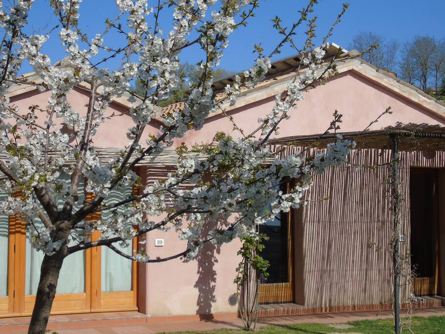 Eingangsbereich Ferienwohnung-
entrate appartamento