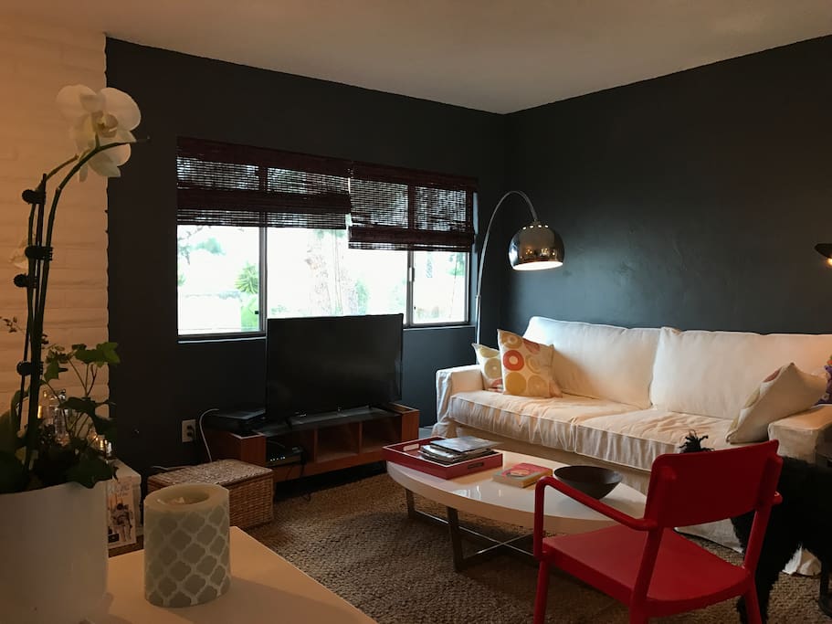 The spacious comfy living room.