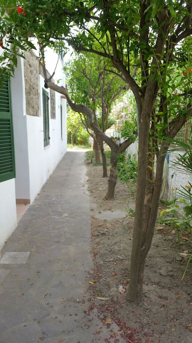 viale esterno
