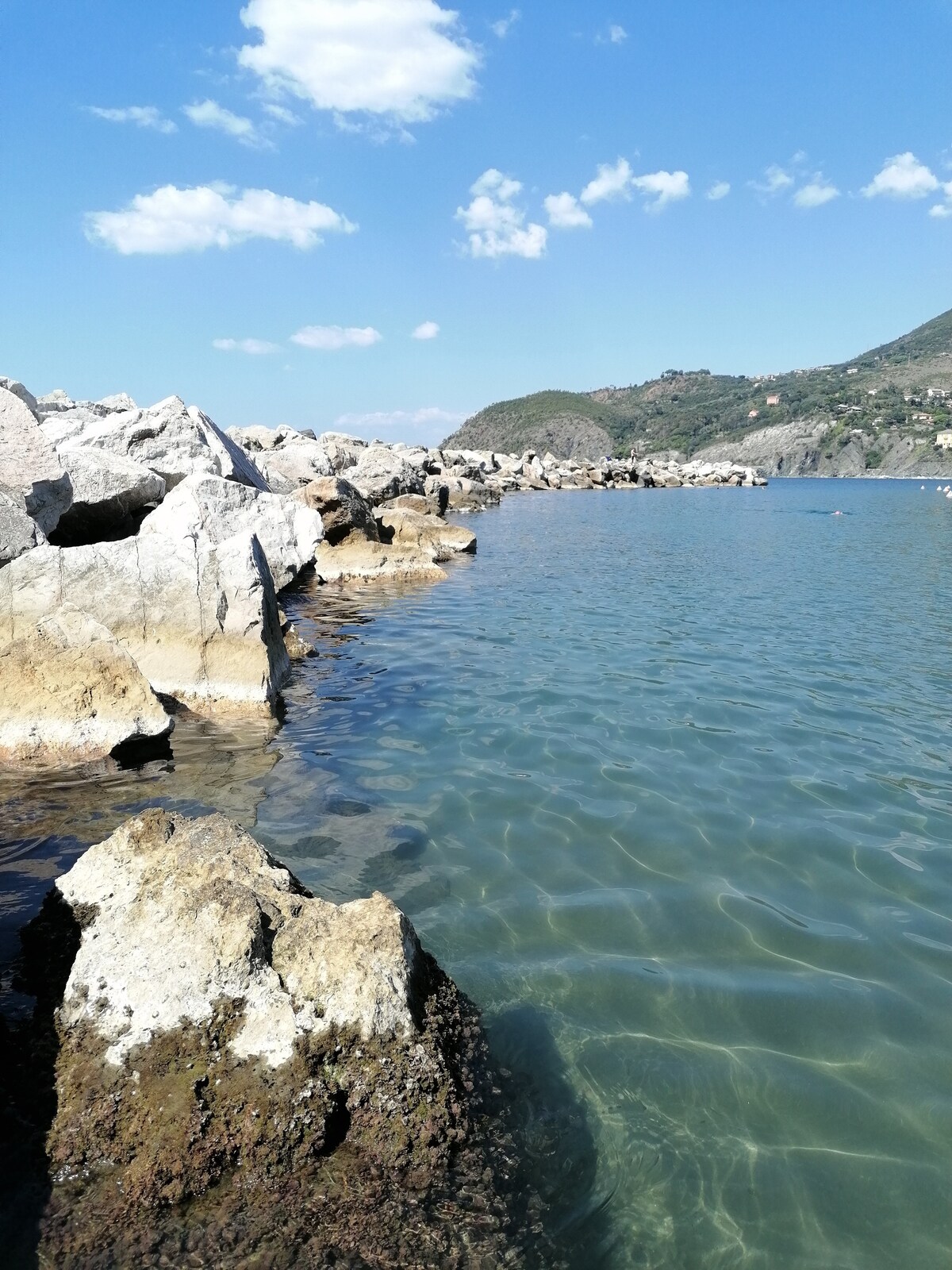 The image captures a rocky shoreline where smooth stones emerge from calm, clear water. Gentle waves lap against the rocks, with a backdrop of distant hills under a clear blue sky dotted with a few fluffy clouds.