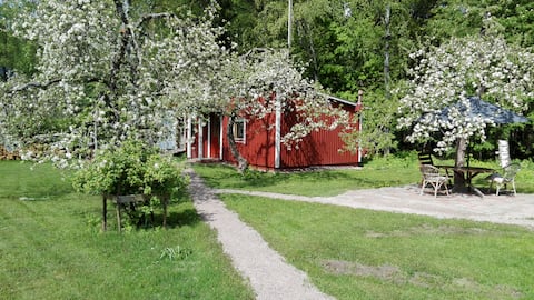 Successful Airbnb property: Cozy Cottage near City and Nature in Läntinen Suurpiiri