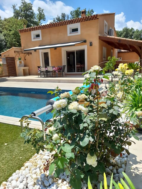 The leaning oaks in Provence.