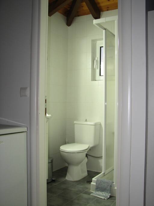 your toilet