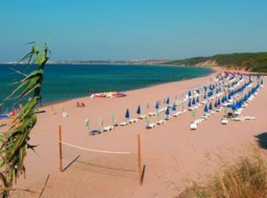 spiaggia attrezzata o libera