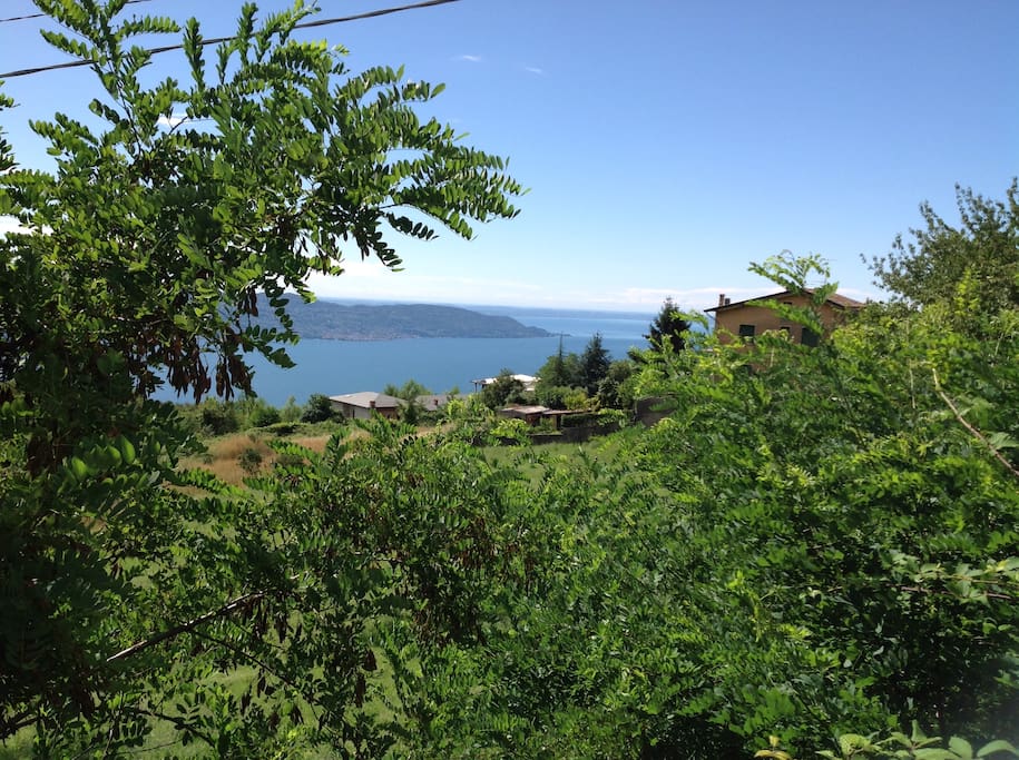 Panorama