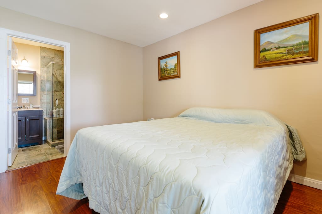 Bedroom (I also have 2 twin size foldable mattresses in the closet)