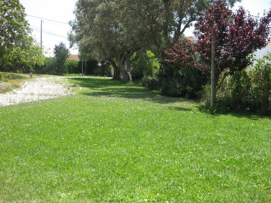 Jardim