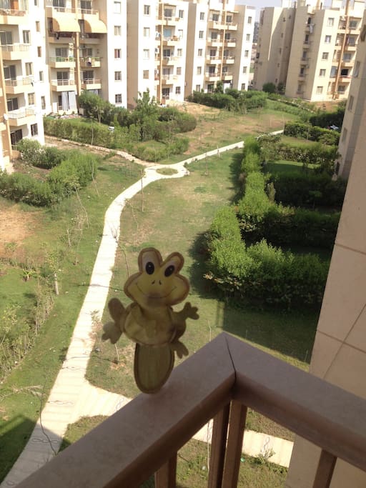 Green view from the balcony, it's lovely in the morning with a cup of tea or coffee :)