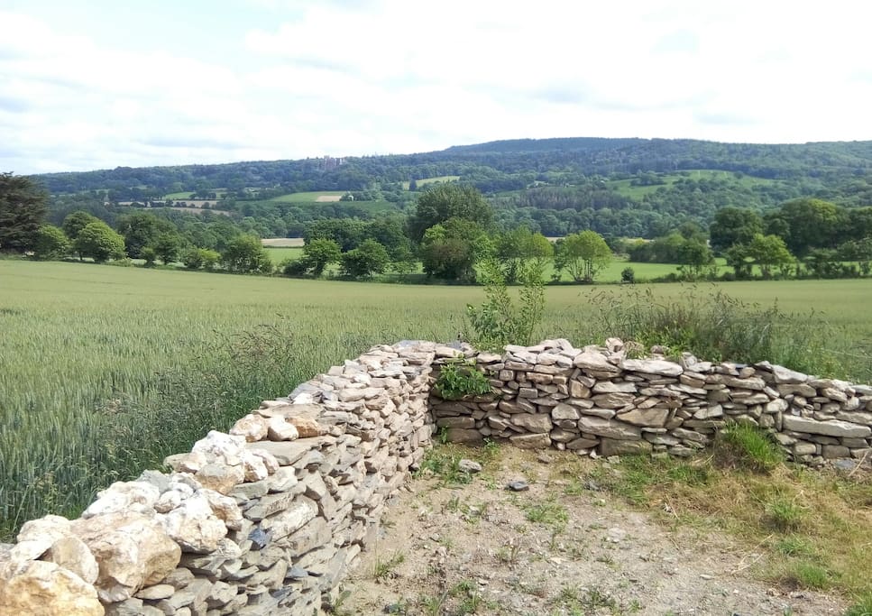 Vue depuis le jardin