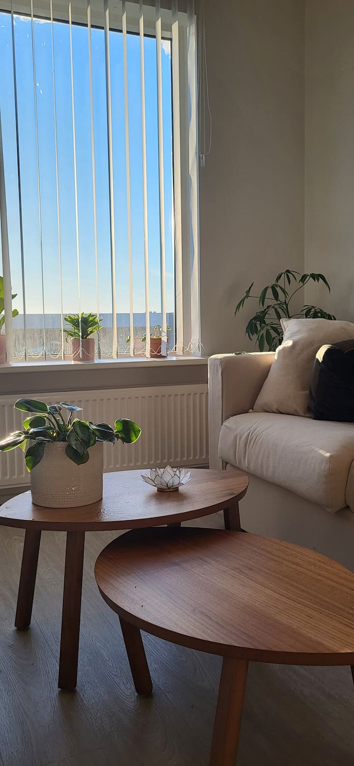 Bright 1 Bedroom Apartment - Islandia