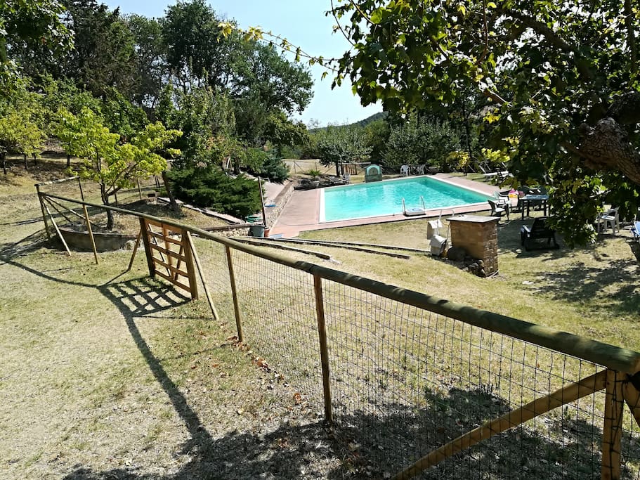 Vista della piscina