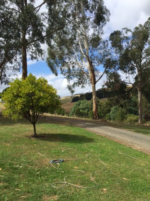Peaceful outlook,private driveway