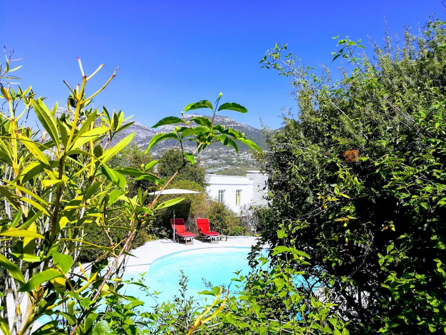 Piscine et maison