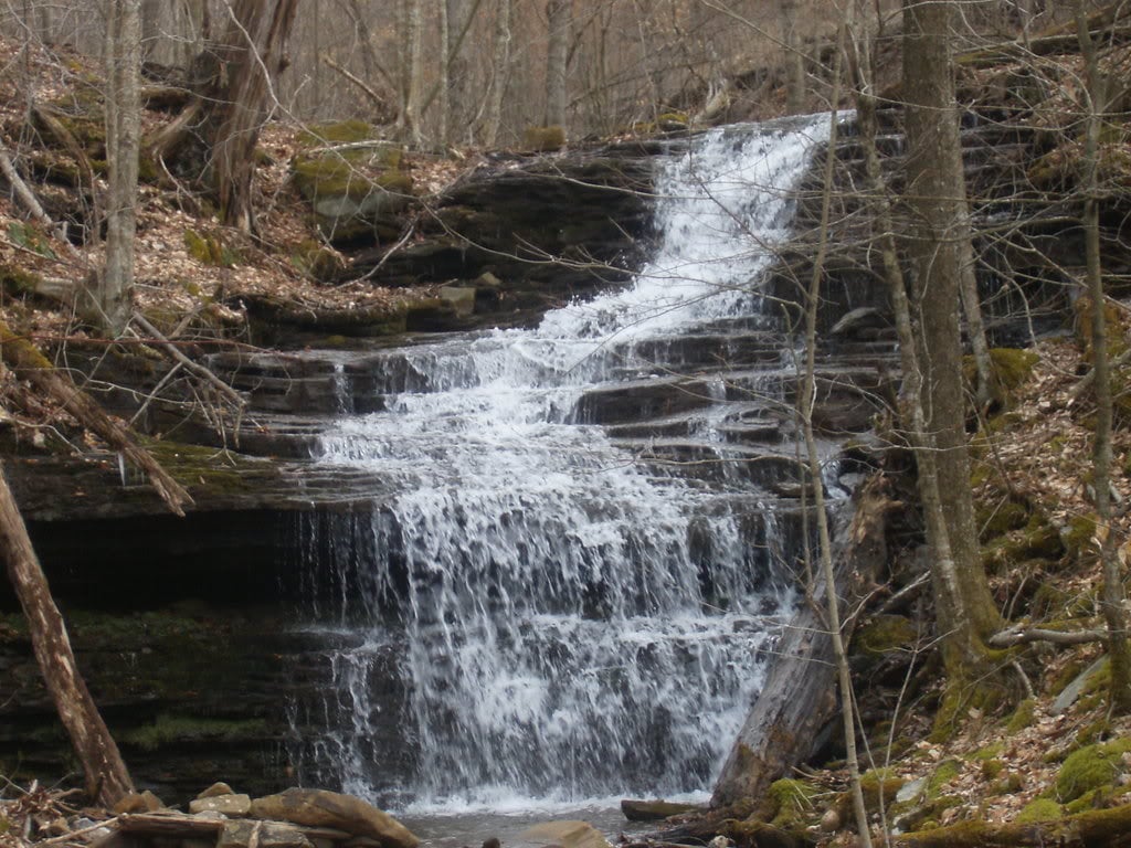 A gently cascading waterfall flows over layered stone formations, surrounded by a wooded landscape. The sound of rushing water is complemented by moss-covered rocks and fallen branches, creating a serene natural setting.